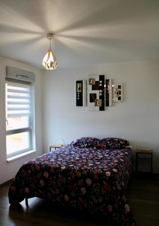 Appartement Confortable Avec Parking Prive Schiltigheim Zewnętrze zdjęcie
