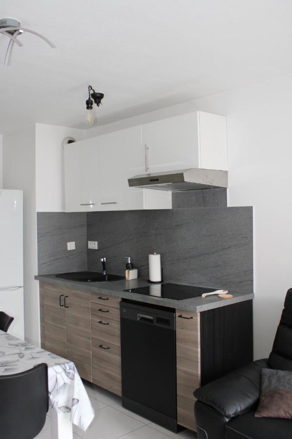 Appartement Confortable Avec Parking Prive Schiltigheim Zewnętrze zdjęcie